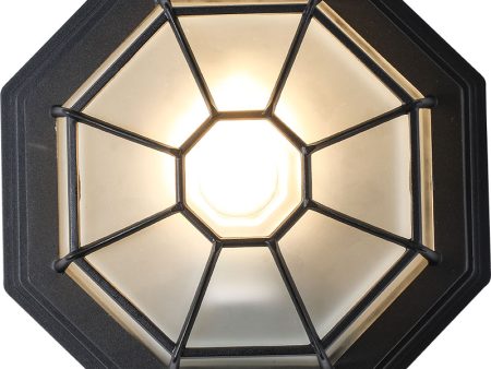 Håkon utelampe 10884, plafond